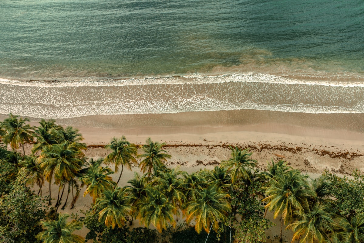 Praia do Forte — Bahia